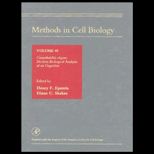 Methods in Cell Biology : Caenorhibditis Elegans : Modern Biological Analysis of an Organism, Volume 48