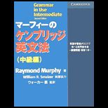 Grammar in Use Intermediate : Japanese Edition