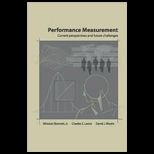 Performance Measurements Current Perspectives and Future Challenges