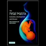 Fetal Matrix Evolution, Development and 