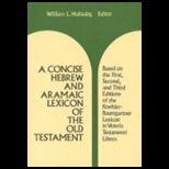 Concise Hebrew and Aramaic Lexican of the Old Testament Based upon the Lexical Work of Ludwig Koehler and Walter Baumgartner