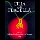 Methods in Cell Biology : Cilia and Flagella, Volume 47