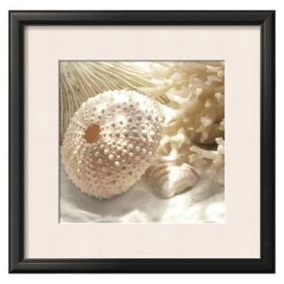 Art   Coral Shell I Framed Print