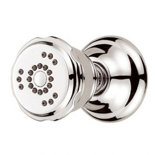 Danze® Two Function Wall Mount Body Spray   Polished Nickel