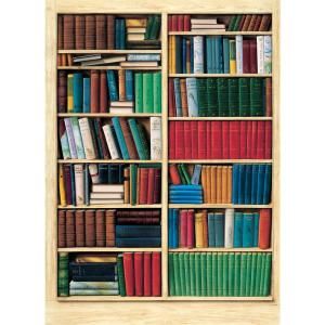 Ideal Decor 100 in. x 0.25 in. Biblioteque Wall Mural DM401