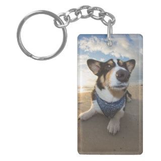 Did Someone Say Cookie? Acrylic Keychains