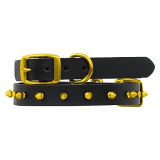 Platinum Pets Black Genuine Leather Dog Collar with Spikes   Gold (9.5   12.5)