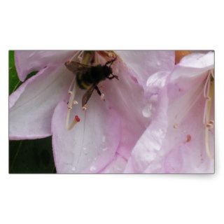 Busy Bee Between Rain Showers Rectangle Sticker