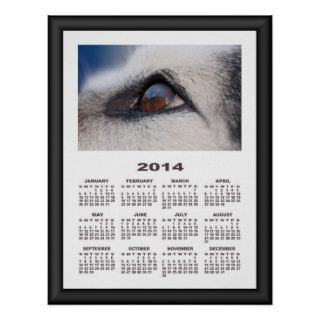 2014 Calendar (Framed) Moon Reflection On Dogs Eye Posters