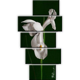 Leinwandbild Blume Wandbild 5 Teilig: 175x100 cm: Küche & Haushalt