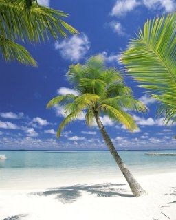 Fototapete "Strand in der Karibik", 184x254cm, Ari Atoll, 4 teilig.: Küche & Haushalt