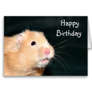 Happy Birthday hamster Greeting Cards