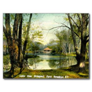 Prospect Park, Brooklyn NY, 1908 Vintage Postcards