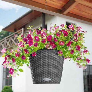 Cottage Hanging Basket  Outdoor And Patio Products  Patio, Lawn & Garden