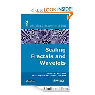 Scaling, Fractals and Wavelets (ISTE) eBook: Patrice Abry, Paolo Goncalves, Jacques Levy Vehel: Kindle Store