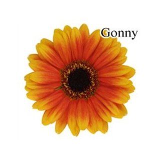 Gonny Mini Gerbera Daisies   140 Stems : Fresh Cut Format Daisy Flowers : Everything Else