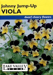 Lake Valley 161 Viola Johnny Jump Up Heirloom Seed Packet : Flowering Plants : Patio, Lawn & Garden