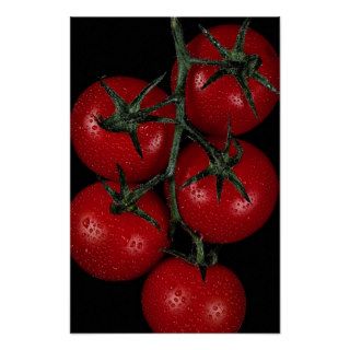 Fresh and juicy red tomatoes poster