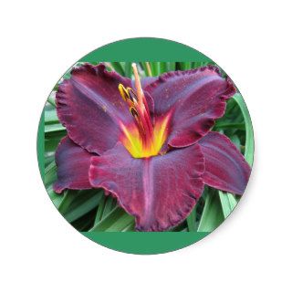 Volcanic Daylily Sticker