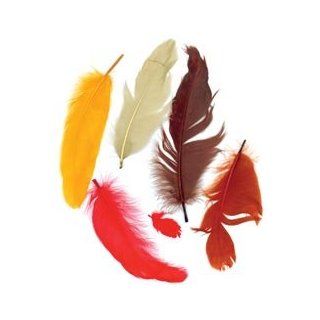 Bulk Buy: Zucker Feather Satinettes Feathers .25 Ounces Fall Mix B206 FALL (6 Pack)