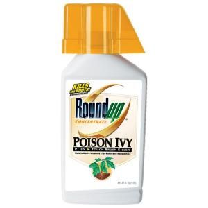 Roundup 32 oz. Concentrate Poison Ivy Plus Tough Brush Killer 5002310