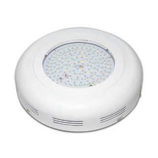 QueenshinyLED 2013 New Bestseller 240w LED Grow Light Lamp Indoor Ufo Hydroponic System 10 Band Spectrums & IR : Plant Growing Lamps : Patio, Lawn & Garden