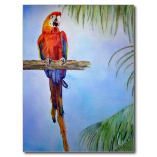 MACAW Parrot Bird Tropical Beach Theme Painting Post Cards