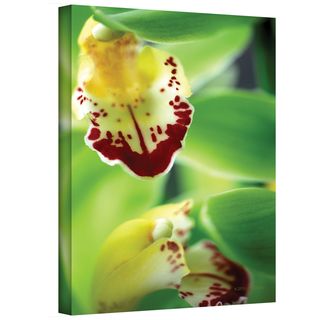 Kathy Yates 'Cymbidium Seafoam Emerald Orchid' Canvas Art ArtWall Canvas