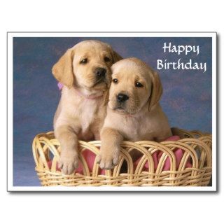 Happy Birthday Labrador Retriever Puppy  Post Card