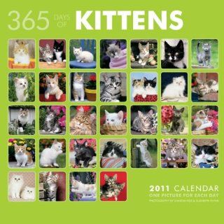Kittens 365 Days 2011 Wall Calendar 12" X 12" : Office Products