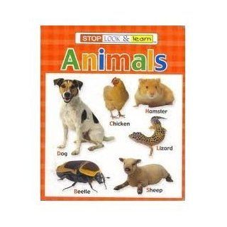 Stop Look & Learn Animals, Board Book 2005 (Stop Look & Learn): Bendon Publishing: 0805219020005: Books