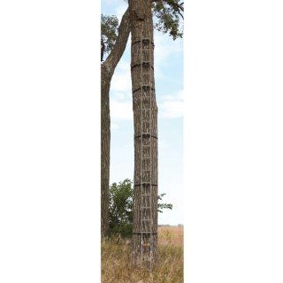 API Outdoors 20' 5   Pc. Quik Stick Ladder : Hunting Tree Steps : Sports & Outdoors