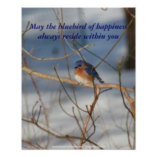 Bluebird Of Happiness Inspirational Poster Print
