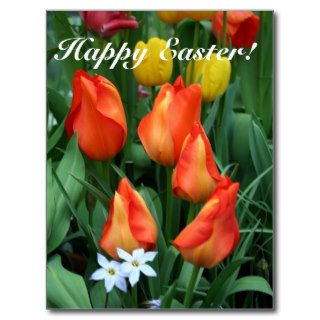 Happy Easter, He is risen! Post Cards