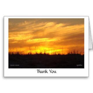 Thank You   scusset beach Greeting Cards