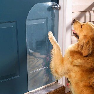 Door Scratch Protector : Pet Doors And Supplies : Pet Supplies