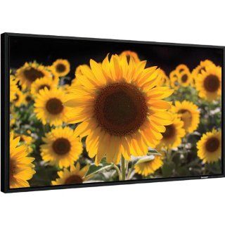 Sharp PN E471R 47 inch Commercial Display and Digital Signage LCD HDTV: Electronics