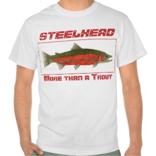 Steelhead   More than a Trout
