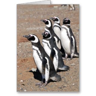 Penguin Happy Birthday Wishes Cards