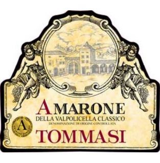 2006 Tommasi Amarone Della Valpolicella Classico Doc 750ml: Wine
