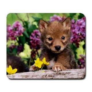 Coyote Pup Mouse Pad : Office Products