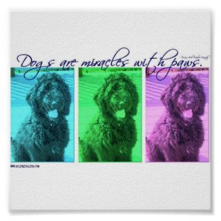 Dogs are Miracles with Paws Poster