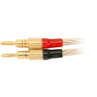 Acoustic Research MS320 Speaker Wire, 10 AWG, 2x15' Pair (30 feet): Electronics