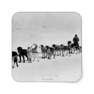 Alaska View of U.S. Postal Service Dogsled Square Stickers