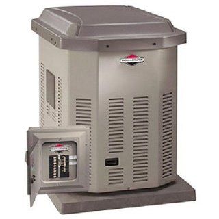 Briggs & Stratton 7, 000 Watt Natural Gas / Liquid Propane Stand by Generator with Transfer Switch 1978 (Discontinued by Manufacturer) : Standby Power Generators : Patio, Lawn & Garden