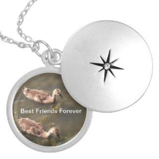 Cute and adorable Best Friends Forever Necklace