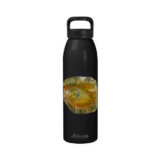 Golden Gourami Side View Saturated Aquarium Fish Drinking Bottle