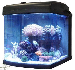 JBJ 28 Gallon Nano Cube LED Aquarium   27 Watt Intermediate : Pet Supplies