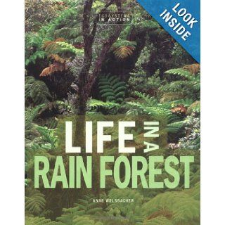 Life in a Rain Forest (Ecosystems in Action): Anne Welsbacher: 9780822546856: Books