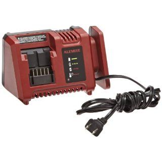 Alemite 343152 595 Lithium Ion 18 Volt Battery Charger, : Cordless Tool Battery Chargers: Industrial & Scientific